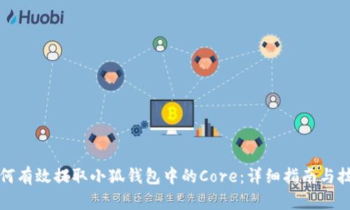 如何有效提取小狐钱包中的Core：详细指南与技巧