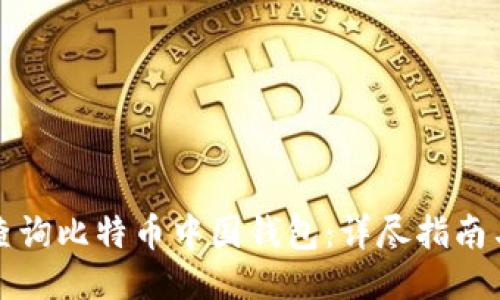 如何查询比特币中国钱包：详尽指南与技巧