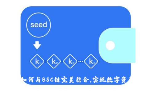 小狐钱包如何与BSC链完美结合，实现数字资产自由管理