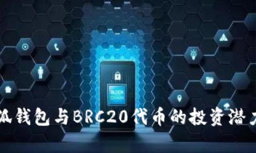 全面解析小狐钱包与BRC20代币的投资潜力和使用指南