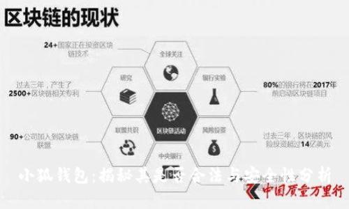 小狐钱包：揭秘其是否合法与安全性分析