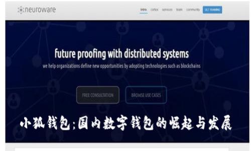 小狐钱包：国内数字钱包的崛起与发展