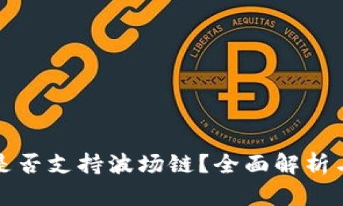 小狐钱包是否支持波场链？全面解析与使用指南