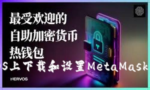 如何在iOS上下载和设置MetaMask手机钱包