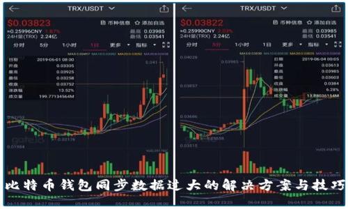 比特币钱包同步数据过大的解决方案与技巧