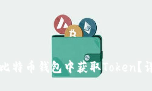 标题  
如何在比特币钱包中获取Token？详细指南