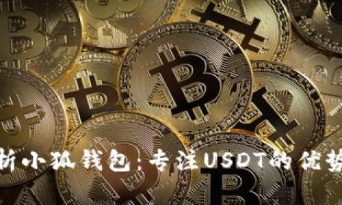 全面解析小狐钱包：专注USDT的优势与风险