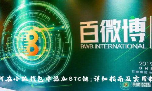 如何在小狐钱包中添加BTC链：详细指南及实用技巧