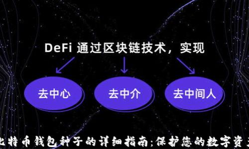 
比特币钱包种子的详细指南：保护您的数字资产