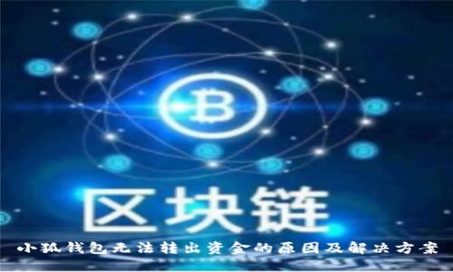 小狐钱包无法转出资金的原因及解决方案