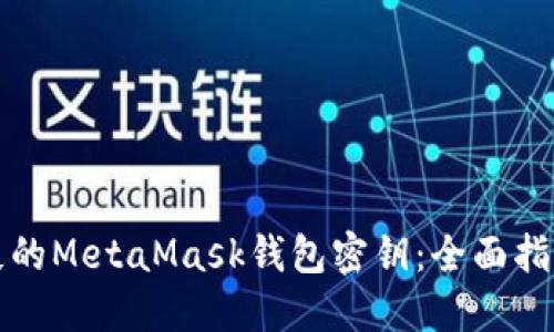 如何找回丢失的MetaMask钱包密钥：全面指南与解决方案