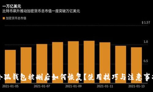 小狐钱包被删后如何恢复？使用技巧与注意事项