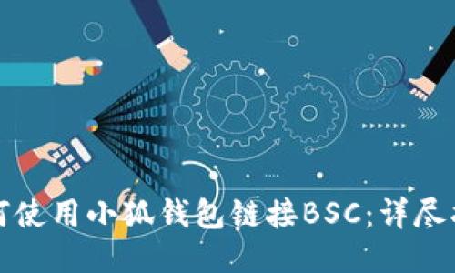 如何使用小狐钱包链接BSC：详尽指南