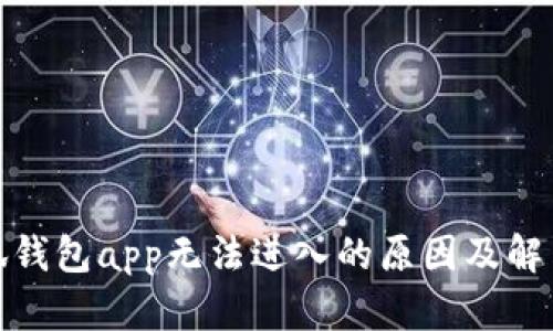 : 小狐钱包app无法进入的原因及解决方法