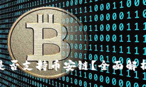 MetaMask是否支持币安链？全面解析与使用指南