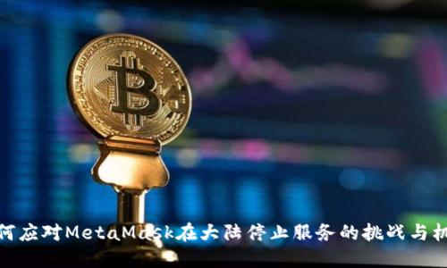 如何应对MetaMask在大陆停止服务的挑战与机遇