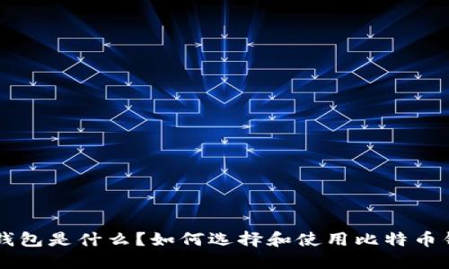 比特币钱包是什么？如何选择和使用比特币钱包平台