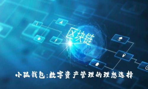 小狐钱包：数字资产管理的理想选择