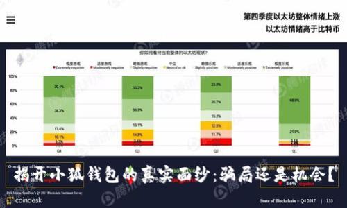 揭开小狐钱包的真实面纱：骗局还是机会？
