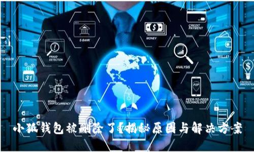 小狐钱包被删除了？揭秘原因与解决方案