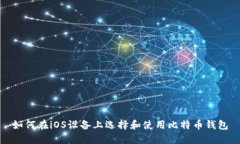 如何在iOS设备上选择和使