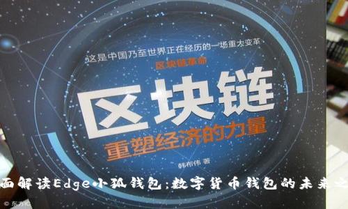 全面解读Edge小狐钱包：数字货币钱包的未来之选