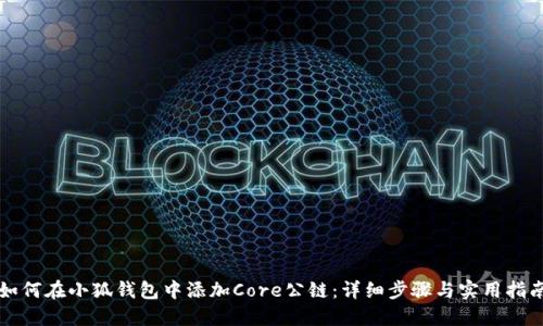 如何在小狐钱包中添加Core公链：详细步骤与实用指南