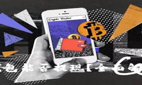 雷达币小狐钱包能否提现？全面解析与操作指南