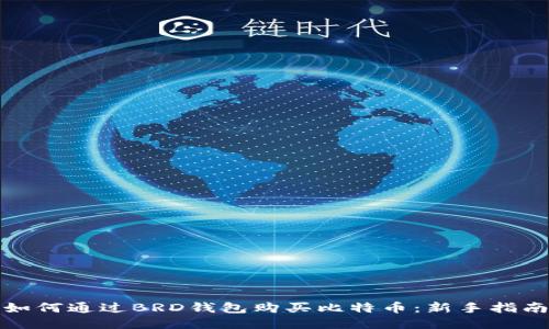 如何通过BRD钱包购买比特币：新手指南