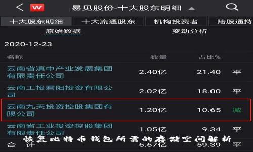 恢复比特币钱包所需的存储空间解析