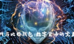 火币网与比特钱包：数字