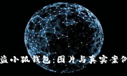 揭秘盗小狐钱包：图片与真实案例分析