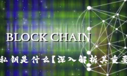 比特币钱包私钥是什么？深入解析其重要性与安全性