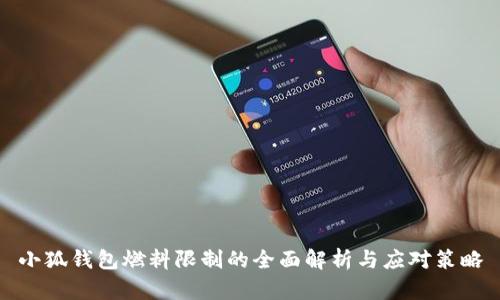小狐钱包燃料限制的全面解析与应对策略