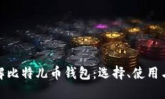 全面了解比特儿币钱包：