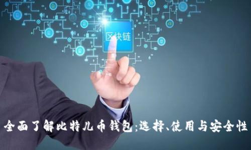 全面了解比特儿币钱包：选择、使用与安全性