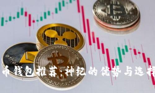 虚拟币钱包推荐：神纪的优势与选择指南