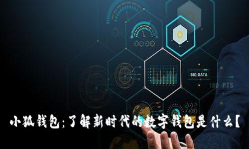 小狐钱包：了解新时代的数字钱包是什么？