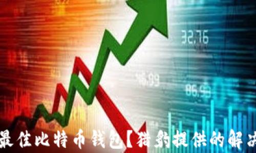 
如何选择最佳比特币钱包？猎豹提供的解决方案解析