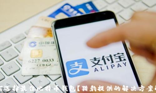 
如何选择最佳比特币钱包？猎豹提供的解决方案解析