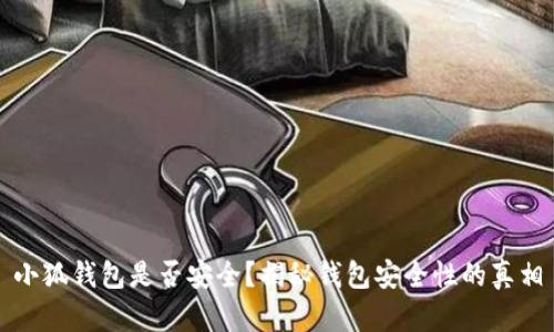 小狐钱包是否安全？揭秘钱包安全性的真相