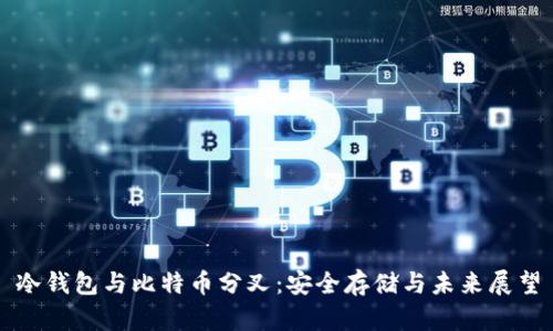 冷钱包与比特币分叉：安全存储与未来展望