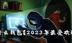 : 比特币国内都用什么钱包