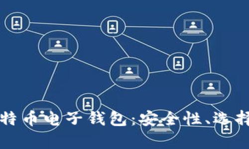 全面解析比特币电子钱包：安全性、选择与使用指南