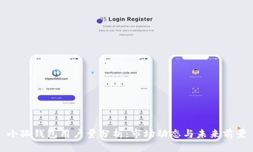 小狐钱包用户量分析：市场动态与未来前景