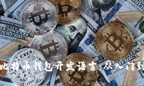 掌握比特币钱包开发语言：从入门到精通