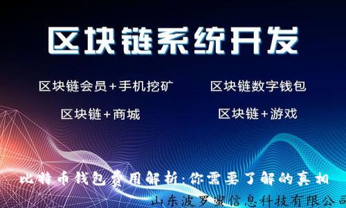 比特币钱包费用解析：你需要了解的真相