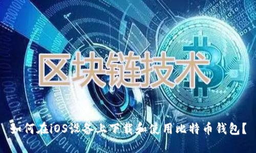 如何在iOS设备上下载和使用比特币钱包？