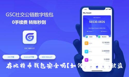 存比特币钱包安全吗？如何避免钱包被盗