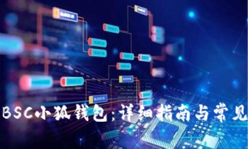 如何设置BSC小狐钱包：详细指南与常见问题解答